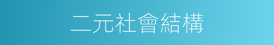 二元社會結構的同義詞