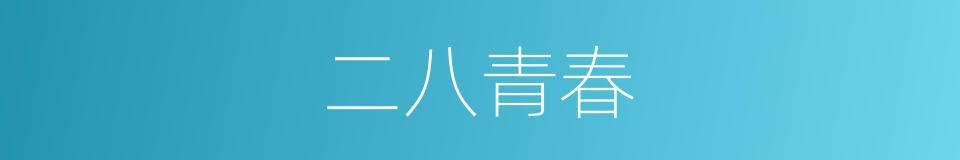 二八青春的同义词