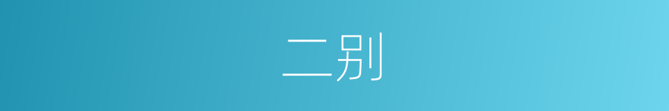 二别的意思