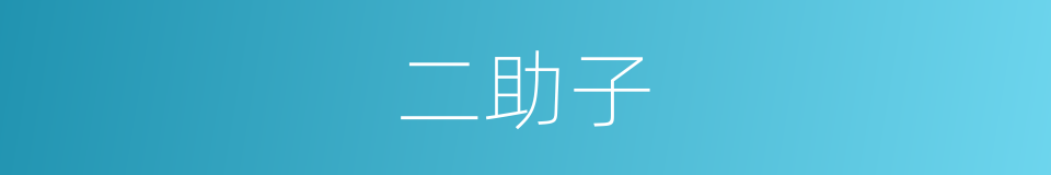二助子的同义词