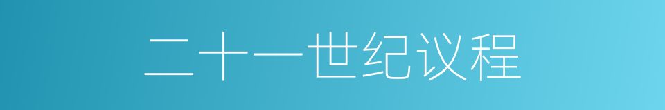 二十一世纪议程的同义词