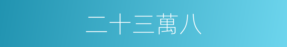 二十三萬八的同義詞