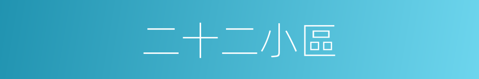 二十二小區的同義詞