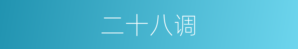 二十八调的意思