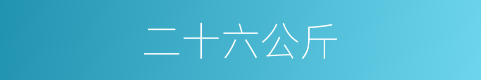 二十六公斤的同义词