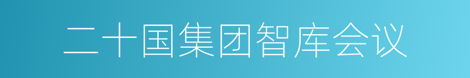 二十国集团智库会议的同义词