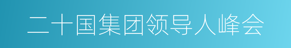 二十国集团领导人峰会的同义词