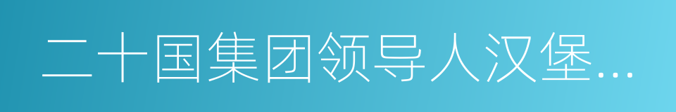 二十国集团领导人汉堡峰会公报的同义词