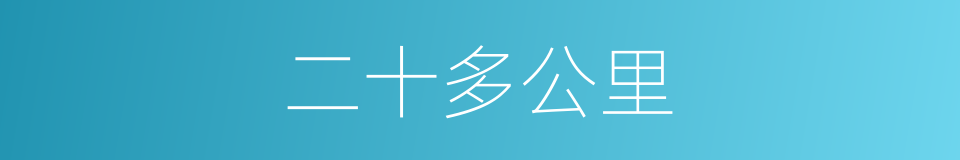 二十多公里的同义词