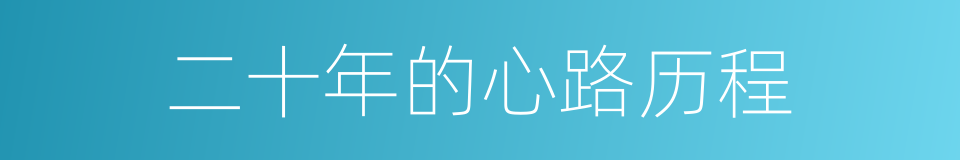 二十年的心路历程的同义词