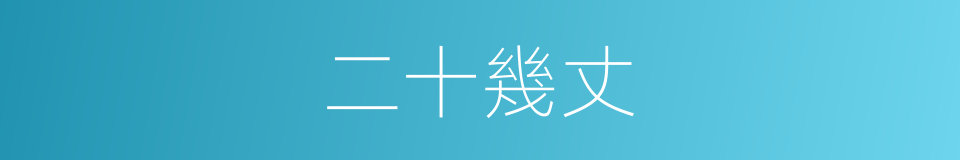 二十幾丈的同義詞