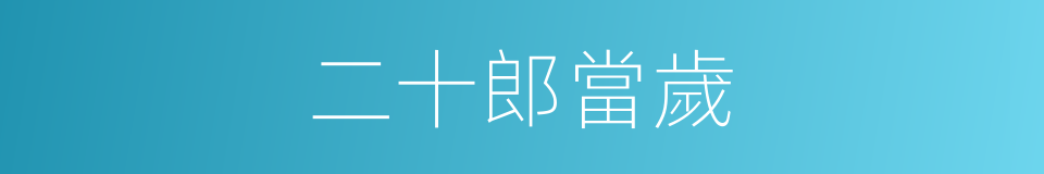 二十郎當歲的同義詞
