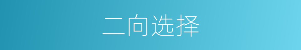 二向选择的同义词