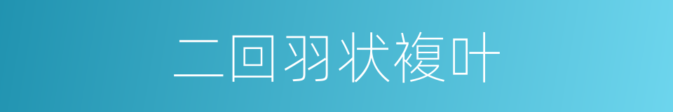 二回羽状複叶的同义词
