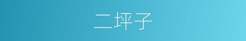 二坪子的同义词