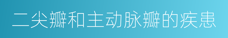 二尖瓣和主动脉瓣的疾患的同义词