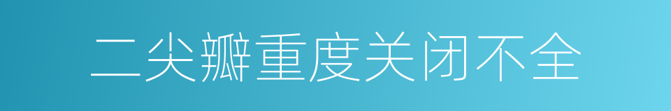 二尖瓣重度关闭不全的同义词