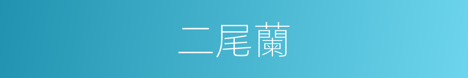二尾蘭的同義詞