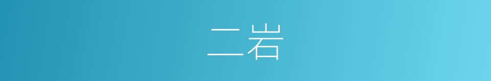 二岩的同义词