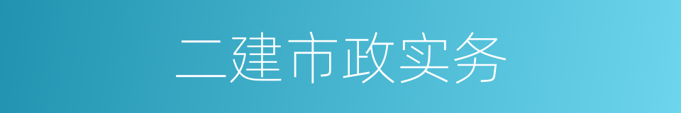 二建市政实务的同义词