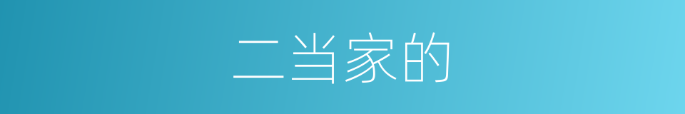 二当家的的同义词