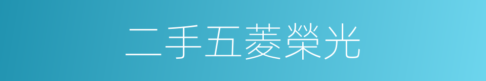 二手五菱榮光的同義詞