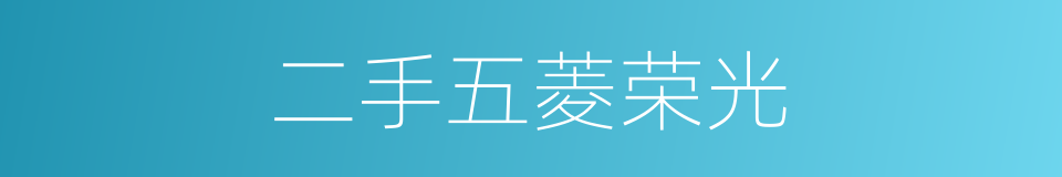 二手五菱荣光的同义词