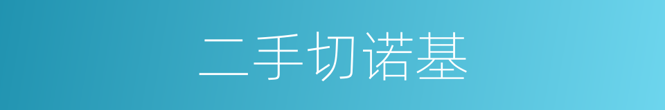 二手切诺基的同义词