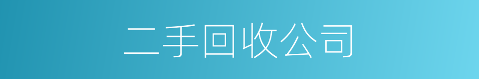 二手回收公司的同义词