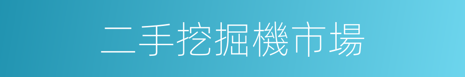 二手挖掘機市場的同義詞