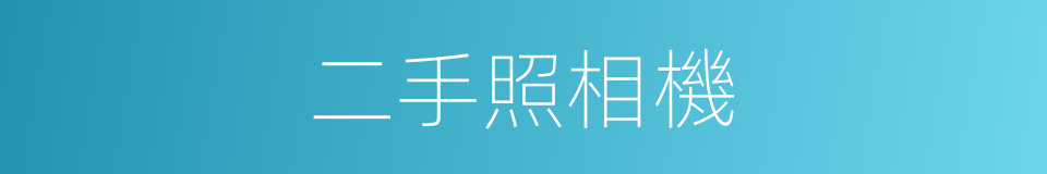 二手照相機的同義詞