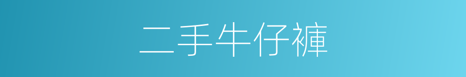 二手牛仔褲的同義詞