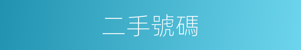 二手號碼的同義詞