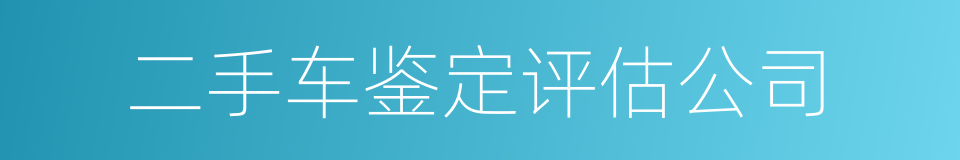 二手车鉴定评估公司的同义词