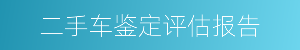 二手车鉴定评估报告的同义词