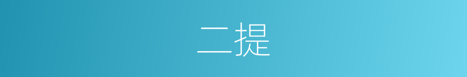 二提的同义词