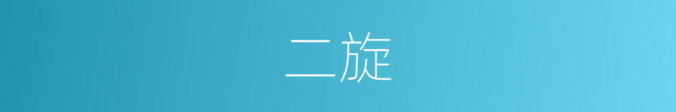 二旋的同义词
