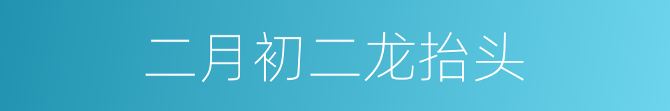 二月初二龙抬头的同义词