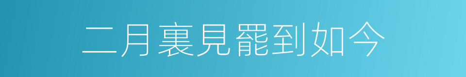 二月裏見罷到如今的同義詞