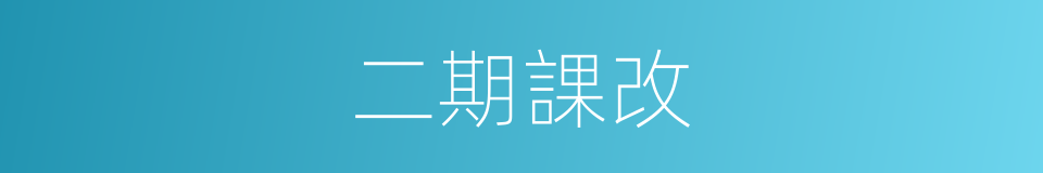 二期課改的同義詞