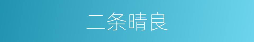 二条晴良的同义词