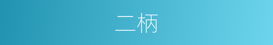 二柄的意思