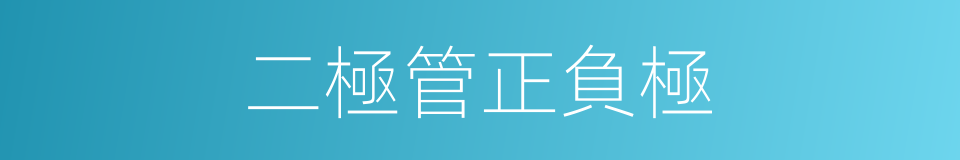 二極管正負極的同義詞