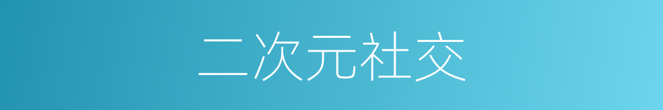 二次元社交的同义词