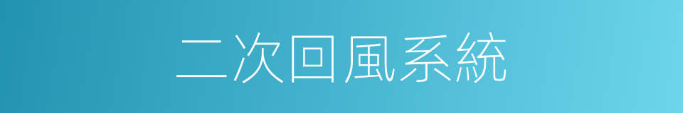 二次回風系統的同義詞