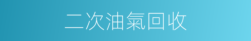 二次油氣回收的同義詞