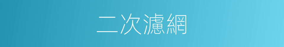 二次濾網的同義詞