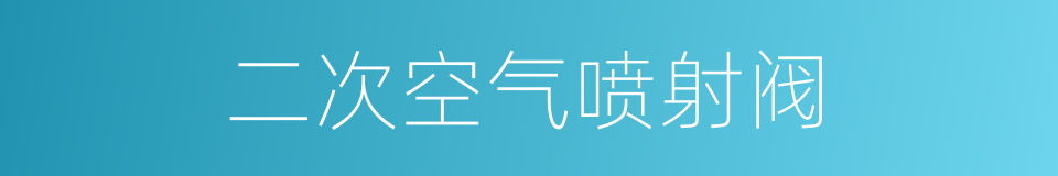 二次空气喷射阀的同义词