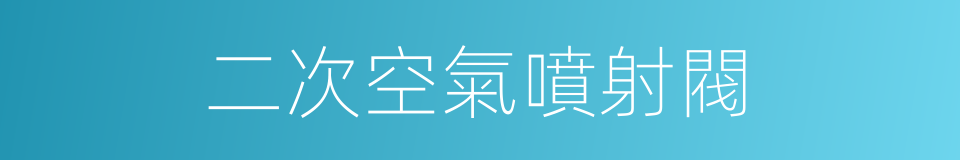 二次空氣噴射閥的同義詞
