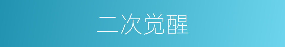 二次觉醒的同义词